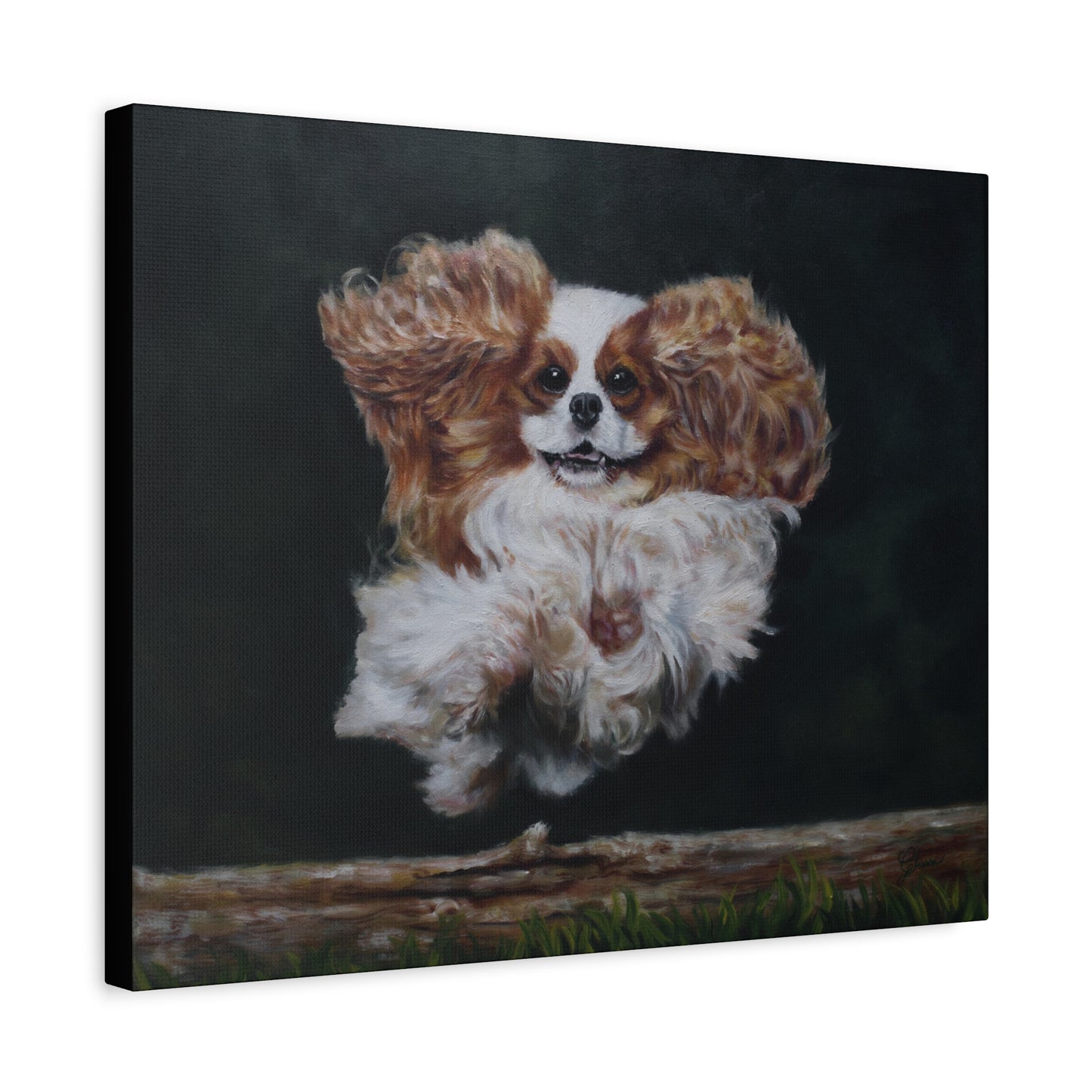 "Athlete" Canvas Print - Blenheim Cavalier King Charles Spaniel Agility Champion