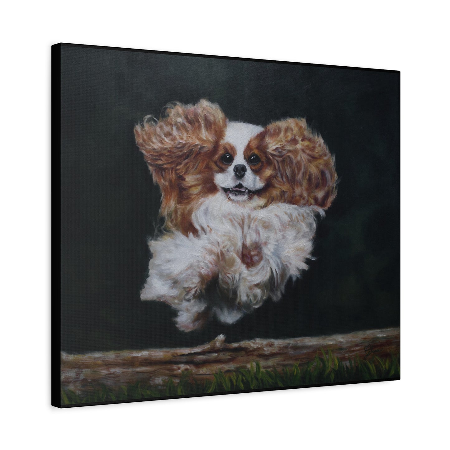 "Athlete" Canvas Print - Blenheim Cavalier King Charles Spaniel Agility Champion