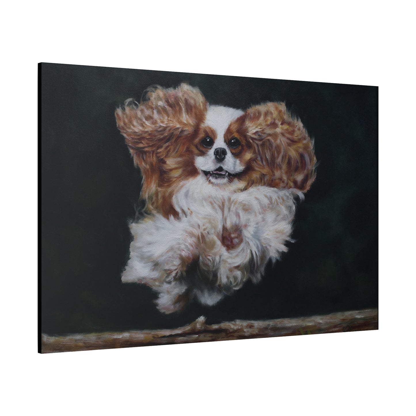 "Athlete" Canvas Print - Blenheim Cavalier King Charles Spaniel Agility Champion