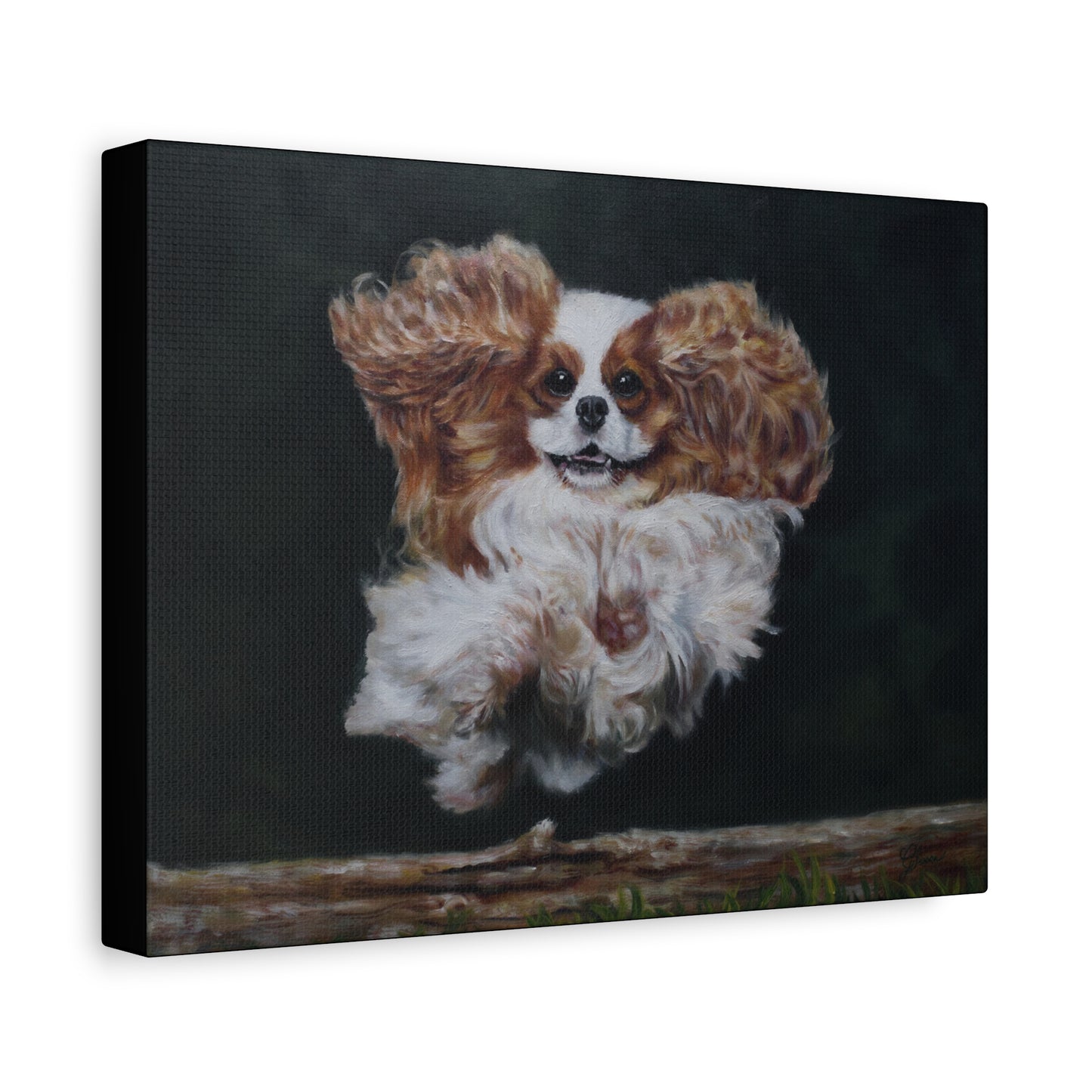 "Athlete" Canvas Print - Blenheim Cavalier King Charles Spaniel Agility Champion