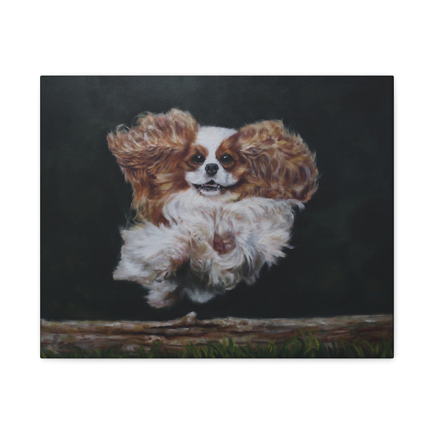 "Athlete" Canvas Print - Blenheim Cavalier King Charles Spaniel Agility Champion