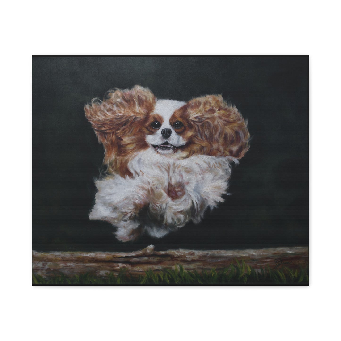 "Athlete" Canvas Print - Blenheim Cavalier King Charles Spaniel Agility Champion