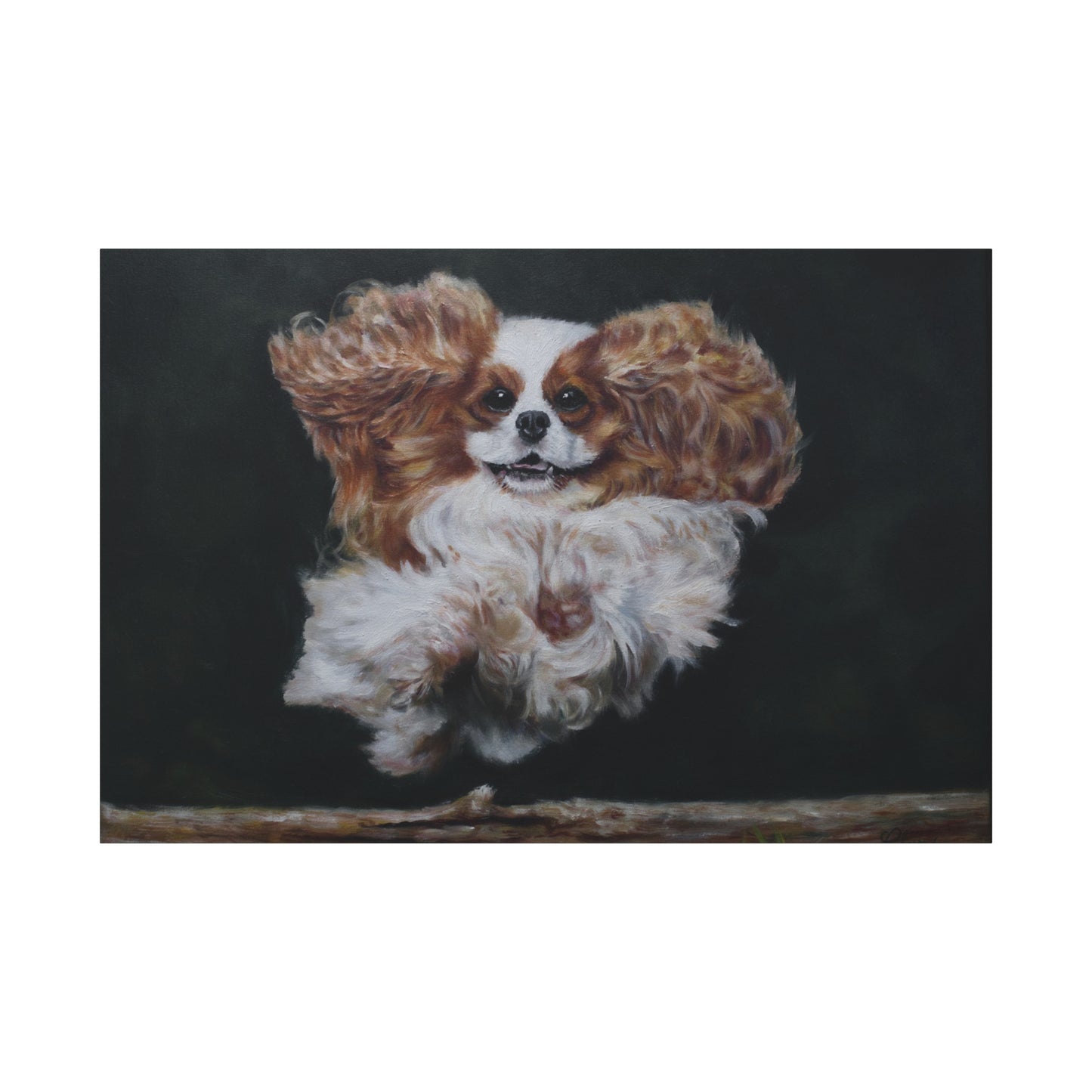 "Athlete" Canvas Print - Blenheim Cavalier King Charles Spaniel Agility Champion