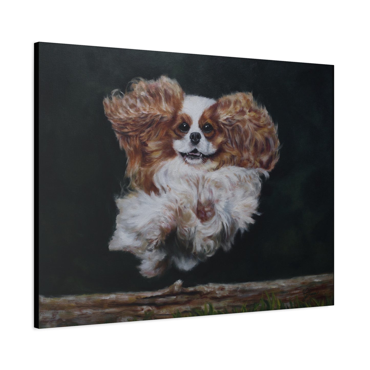 "Athlete" Canvas Print - Blenheim Cavalier King Charles Spaniel Agility Champion