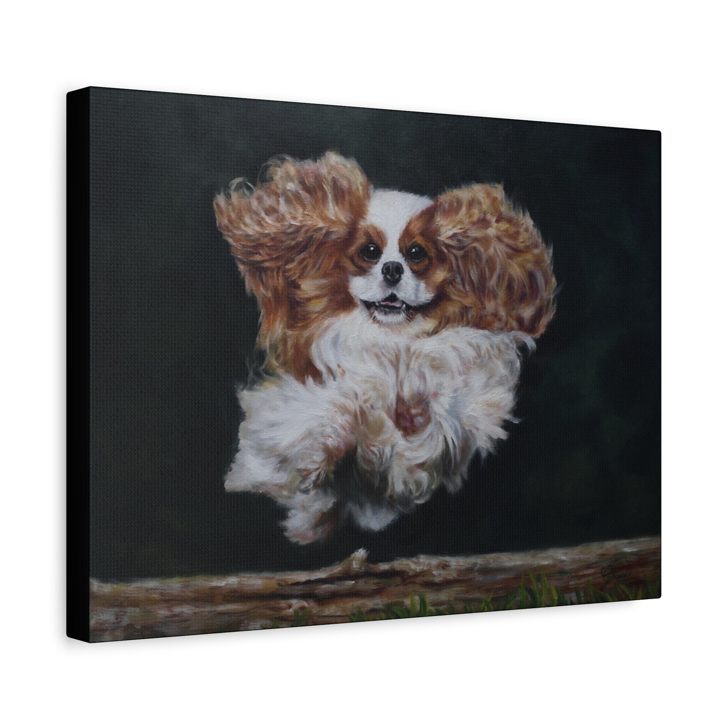 "Athlete" Canvas Print - Blenheim Cavalier King Charles Spaniel Agility Champion