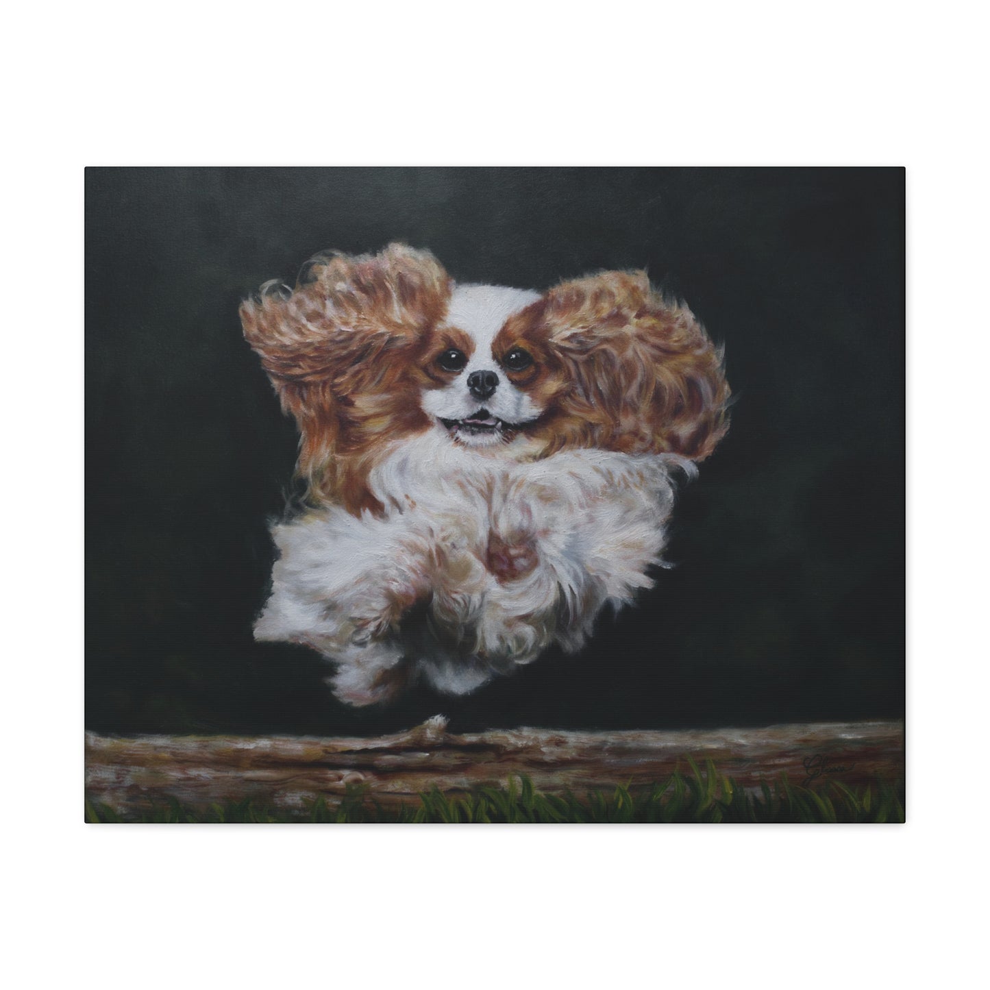 "Athlete" Canvas Print - Blenheim Cavalier King Charles Spaniel Agility Champion