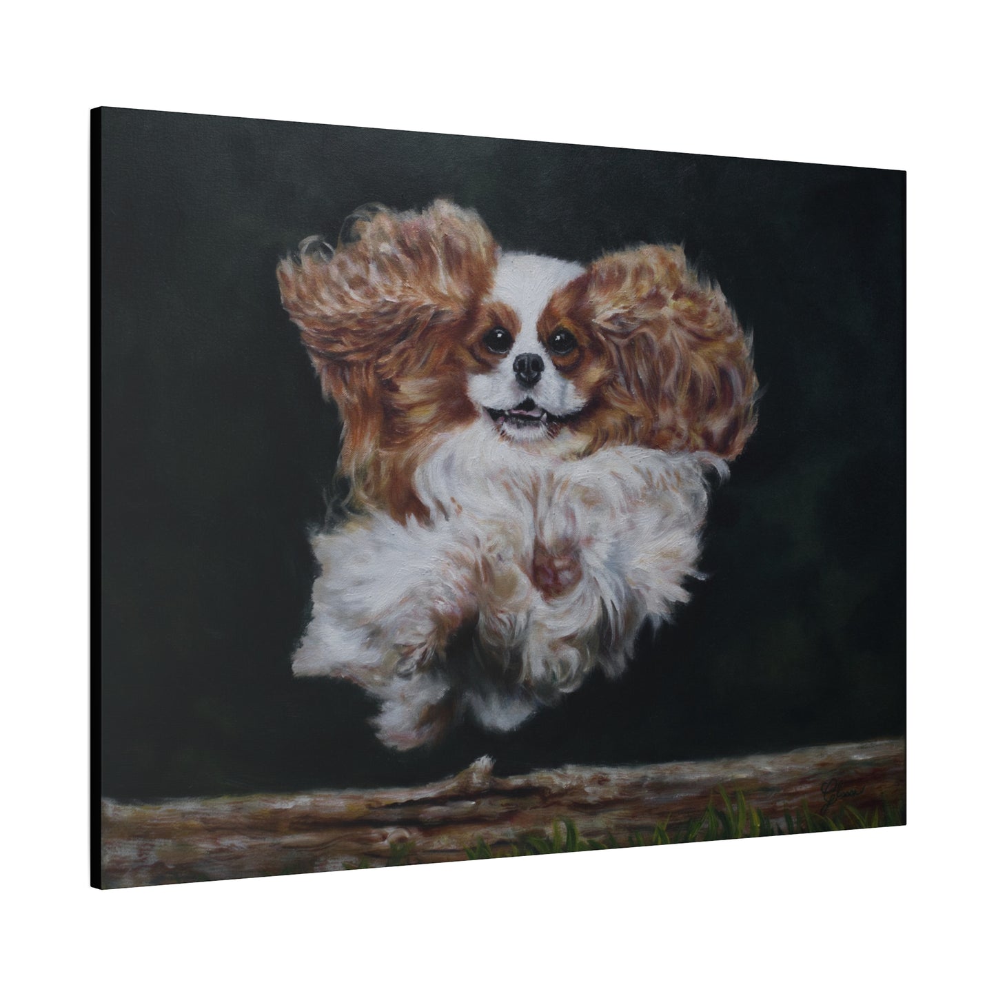 "Athlete" Canvas Print - Blenheim Cavalier King Charles Spaniel Agility Champion