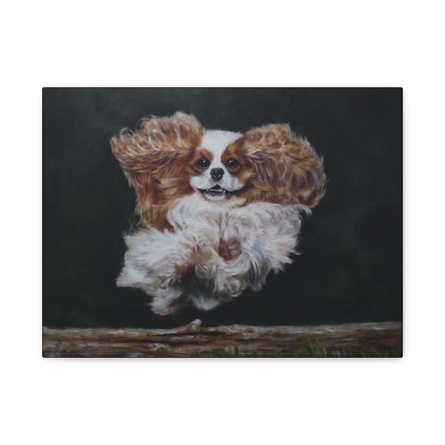"Athlete" Canvas Print - Blenheim Cavalier King Charles Spaniel Agility Champion