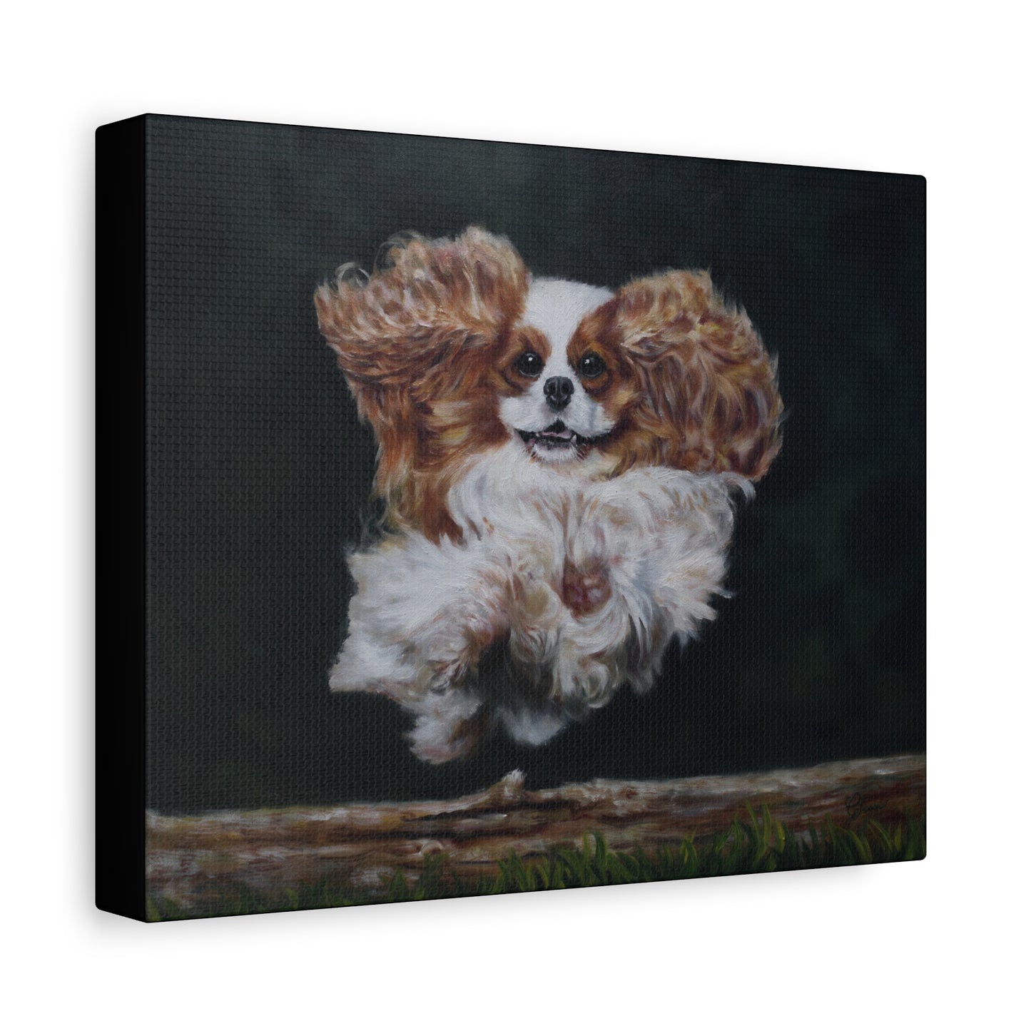 "Athlete" Canvas Print - Blenheim Cavalier King Charles Spaniel Agility Champion