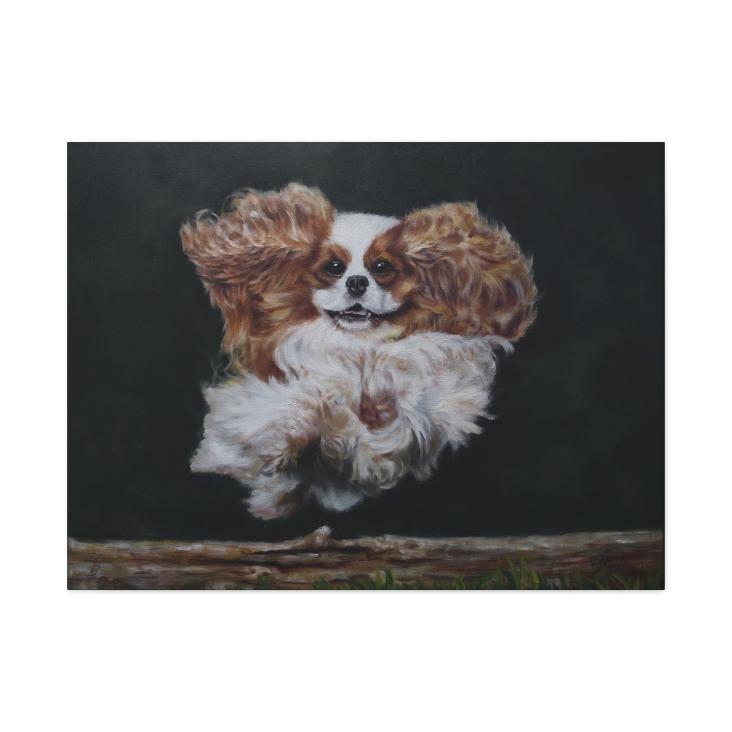 "Athlete" Canvas Print - Blenheim Cavalier King Charles Spaniel Agility Champion