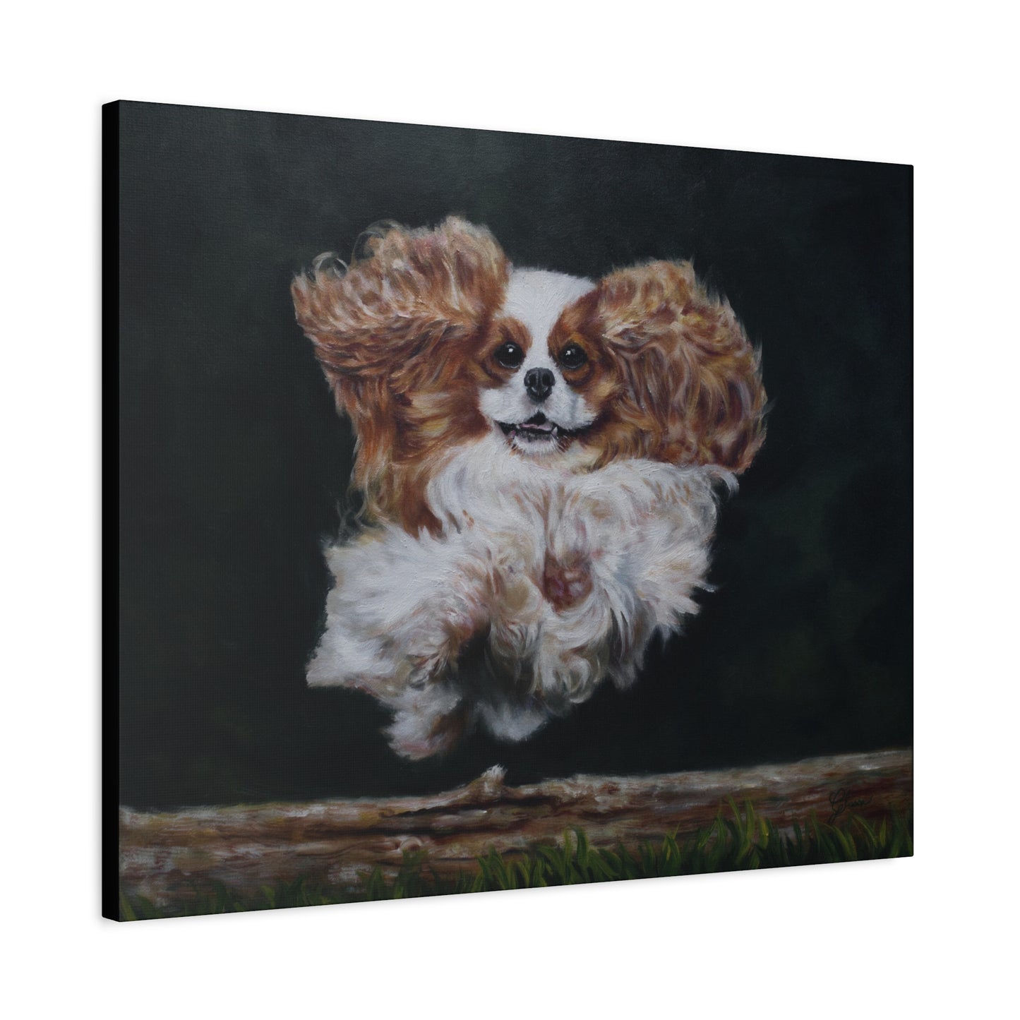 "Athlete" Canvas Print - Blenheim Cavalier King Charles Spaniel Agility Champion