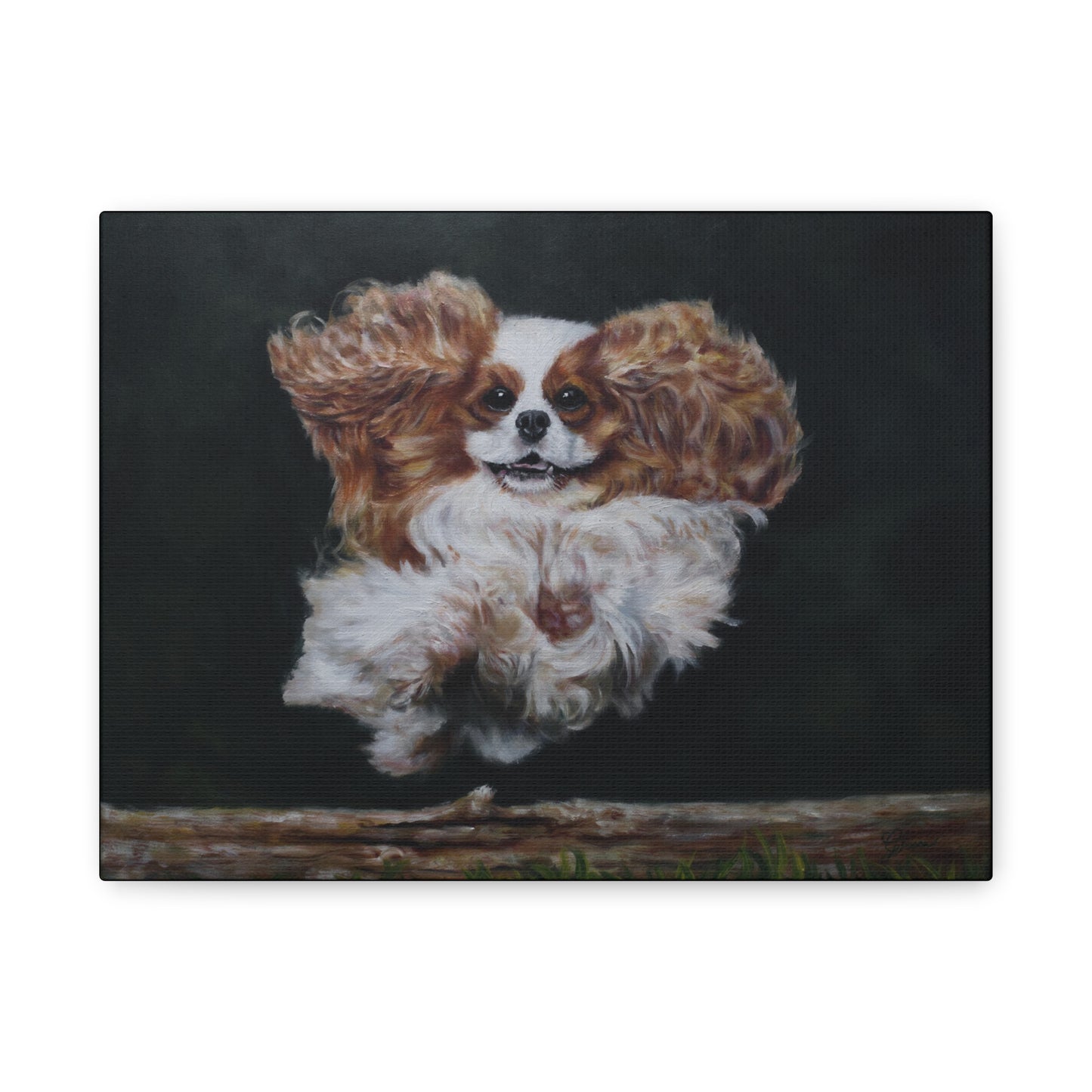 "Athlete" Canvas Print - Blenheim Cavalier King Charles Spaniel Agility Champion