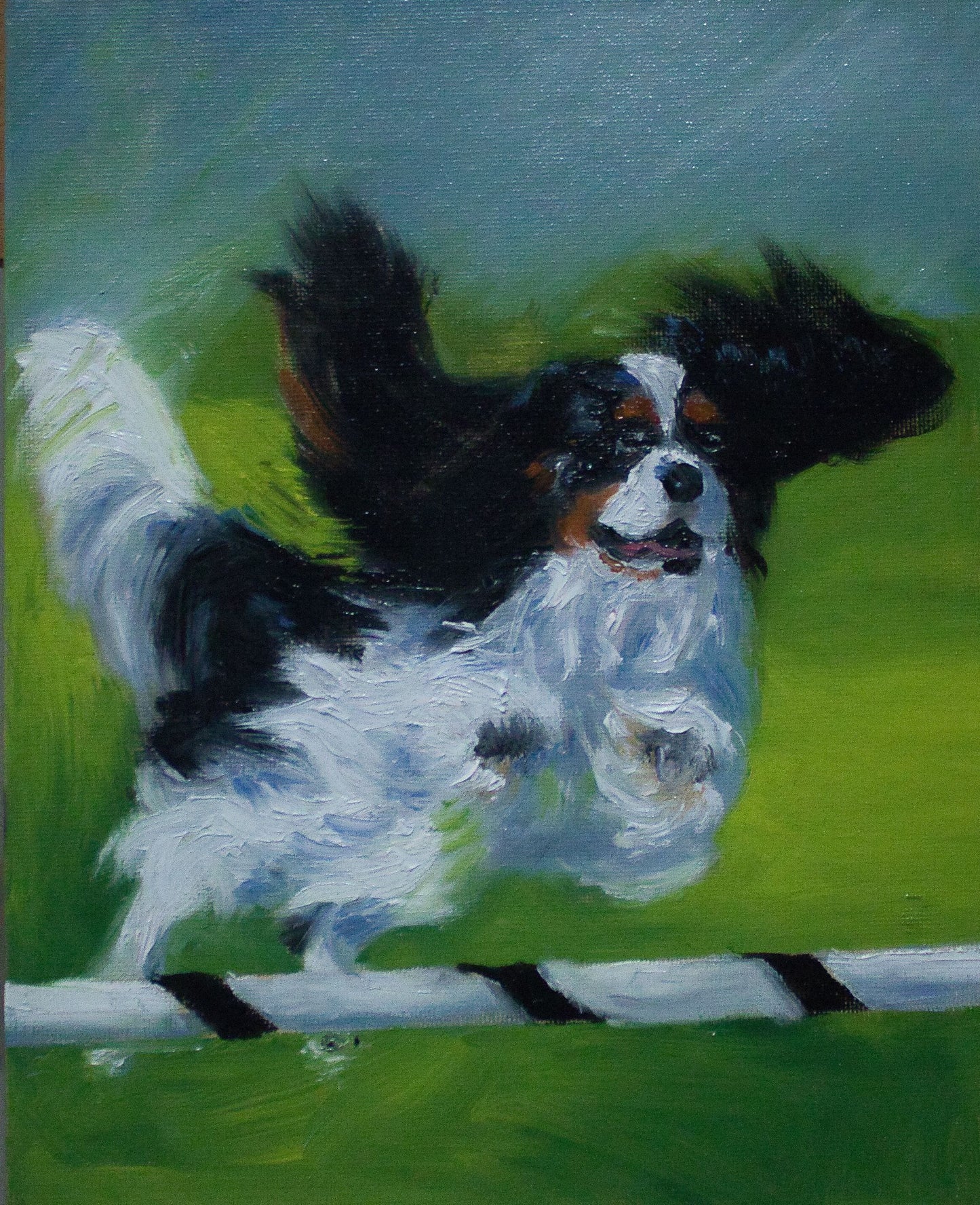"Competitive" Original Oil Painting on Board - Tri-Color Cavalier King Charles Spaniel Agility Art