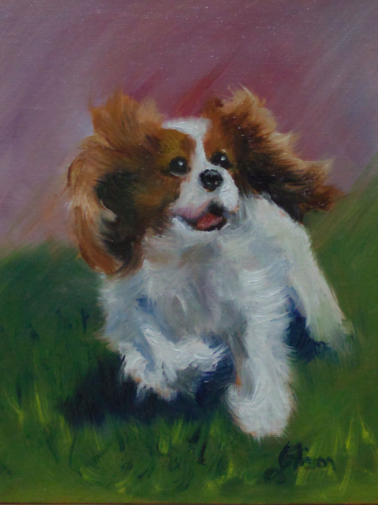 "Romp" Original Oil Painting on Board - Cavalier King Charles Spaniel Running Art
